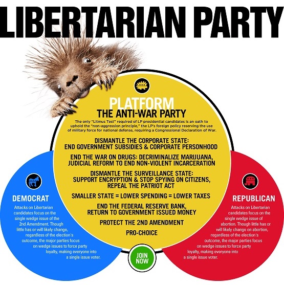 libertarian party 2020 platform